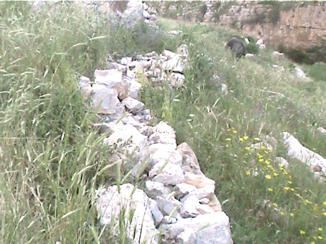 033_agricultural_terrace_ein_mabua.jpg