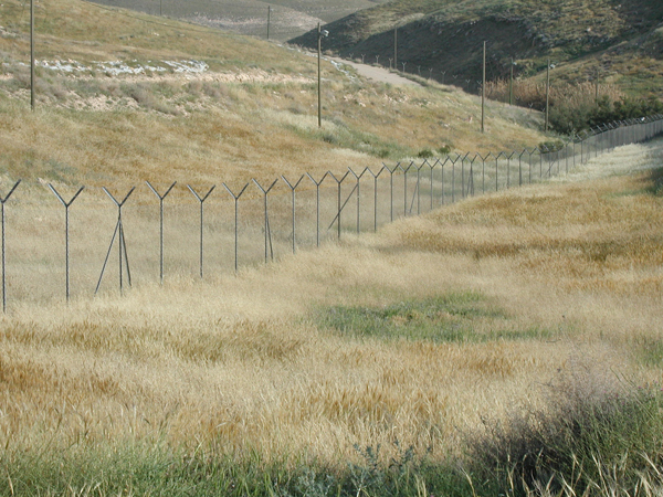 043_alon_junction_harvest_ripe_barley_2005mar27_2.jpg
