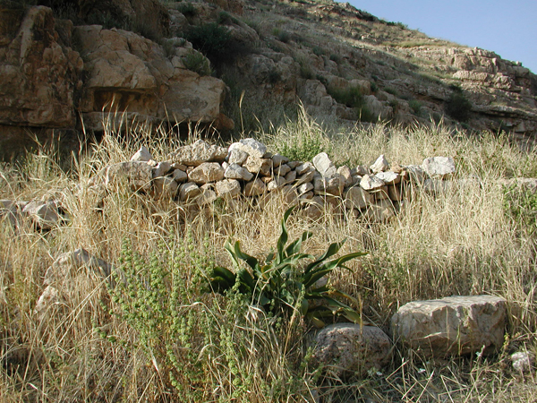 045_ein_mabua_upper_terrace.jpg