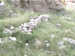 032_agricultural_terrace_ein_mabua